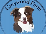 Greywood Farm Aussies