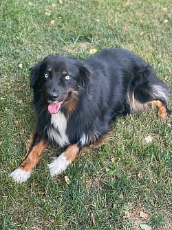 Tucker